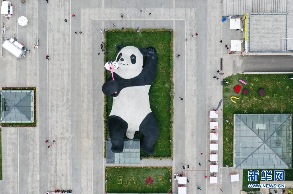 这是4月7日在四川省都江堰市仰天窝广场拍摄的“自拍熊猫”雕塑（无人机照片）。