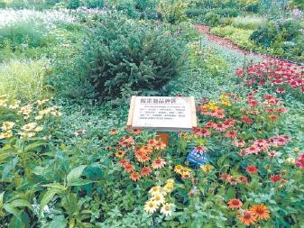 北京海淀添一座特色植物应用示范园