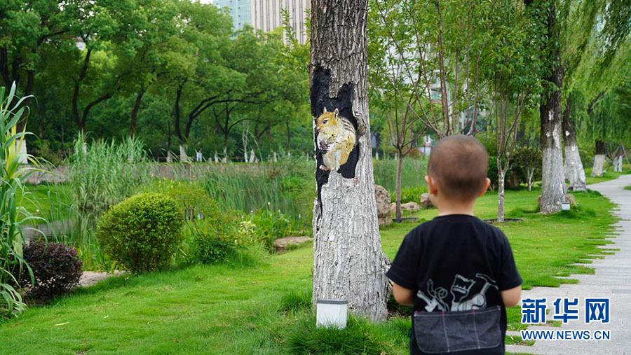武汉一公园的大树里“钻出”小动物