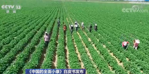 《中国的全面小康》白皮书发布：促进农民增收成为乡村振兴战略中心任务